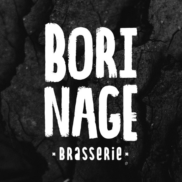 Logo Borinage