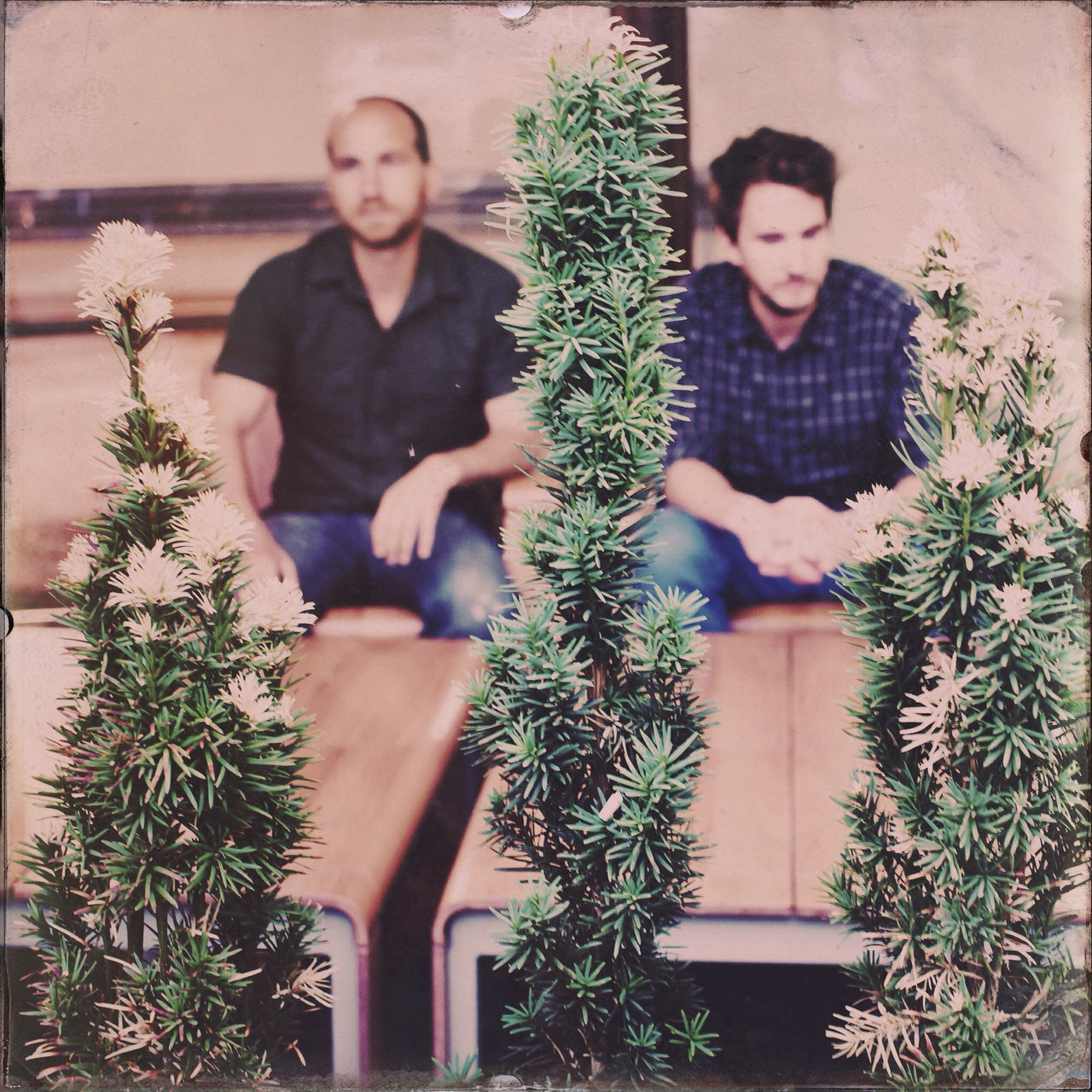 YASS (DE) + CESAR PALACE (DE)