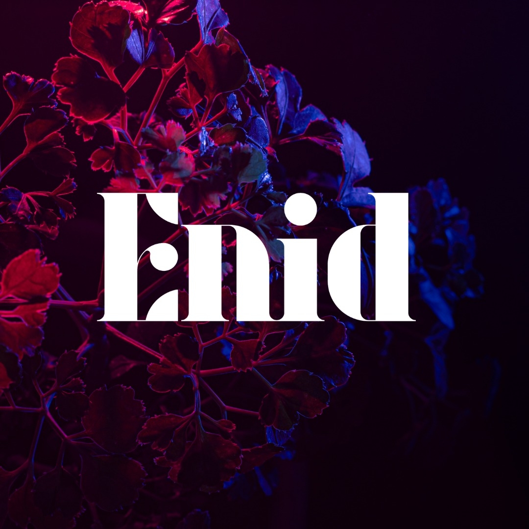 Concert Pop-rock avec Enid, le vendredi 12 avril 20H30