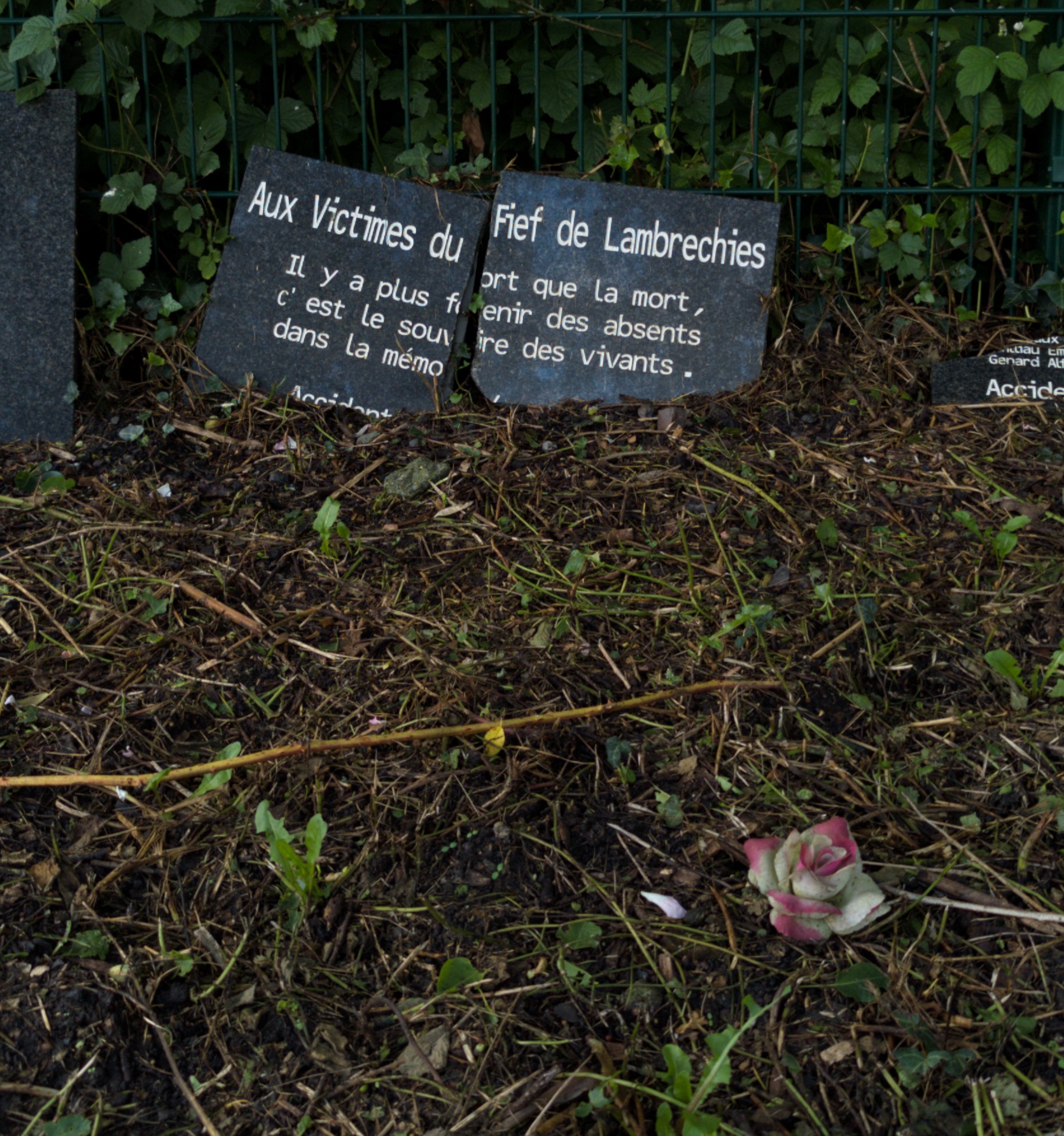 Restitution#8: "Rencontre à Frameries" (Béatrice Didier & Luis Alvarez)