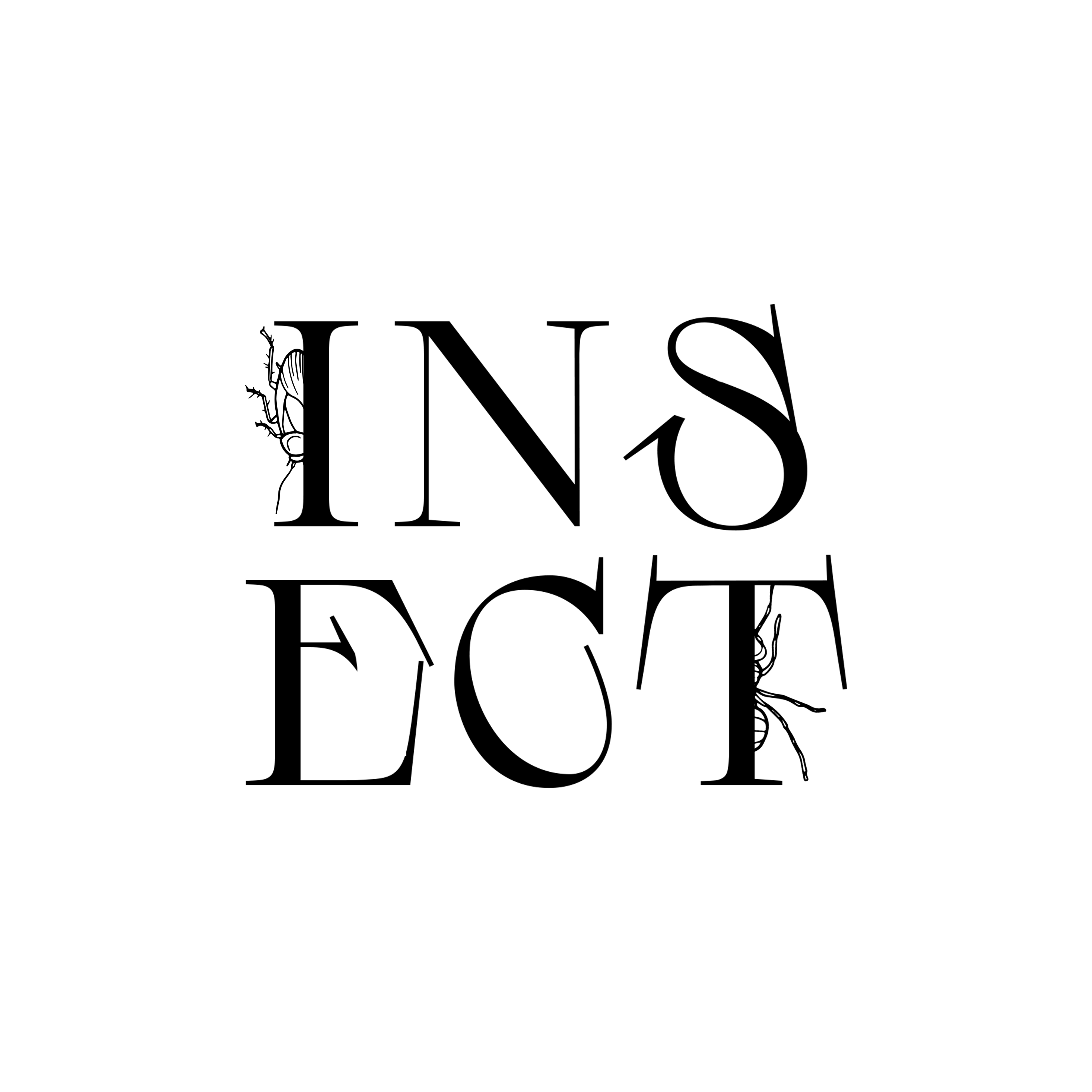 Insect