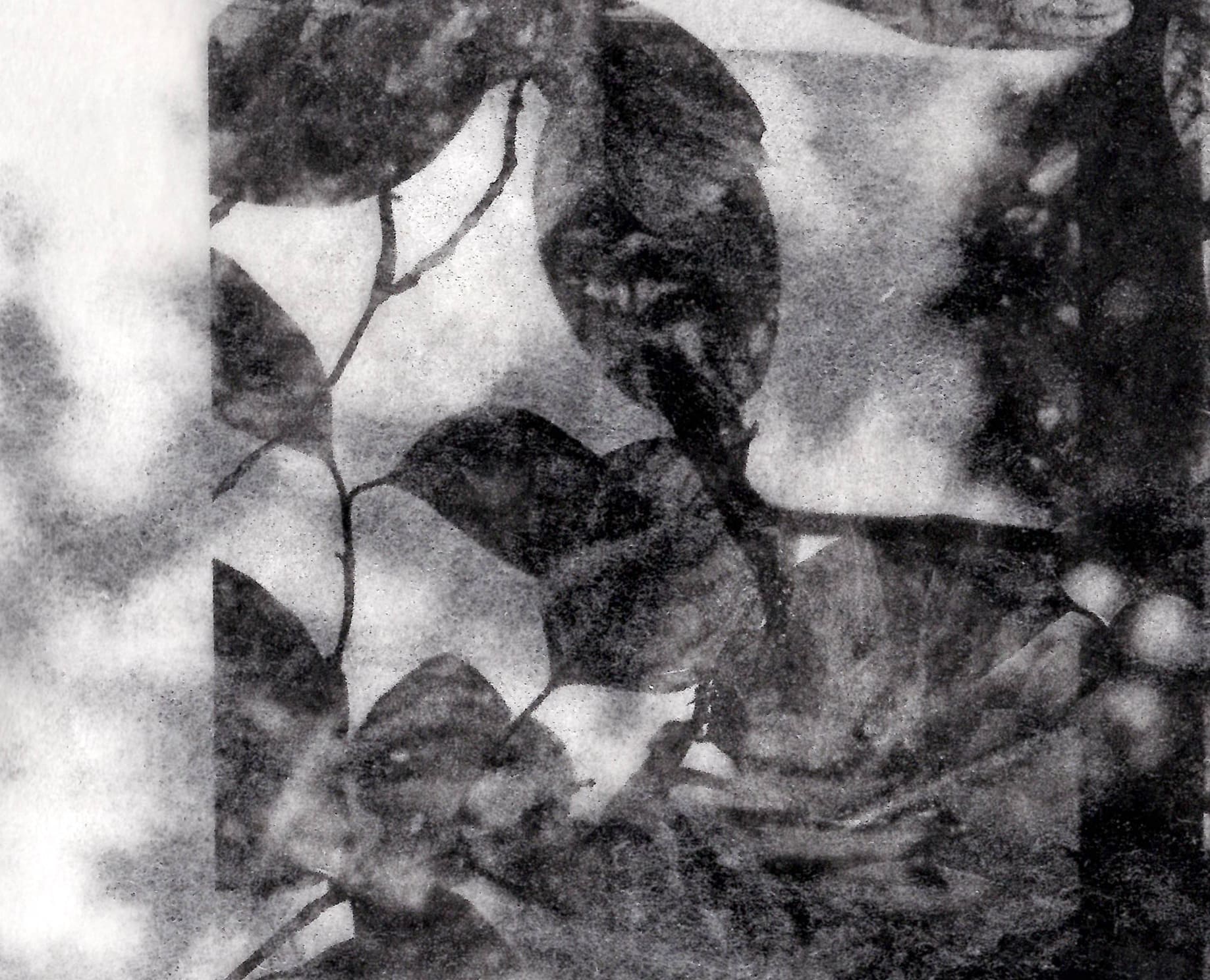 Bords perdus, détails, Sérigraphie sur papier Tengujo