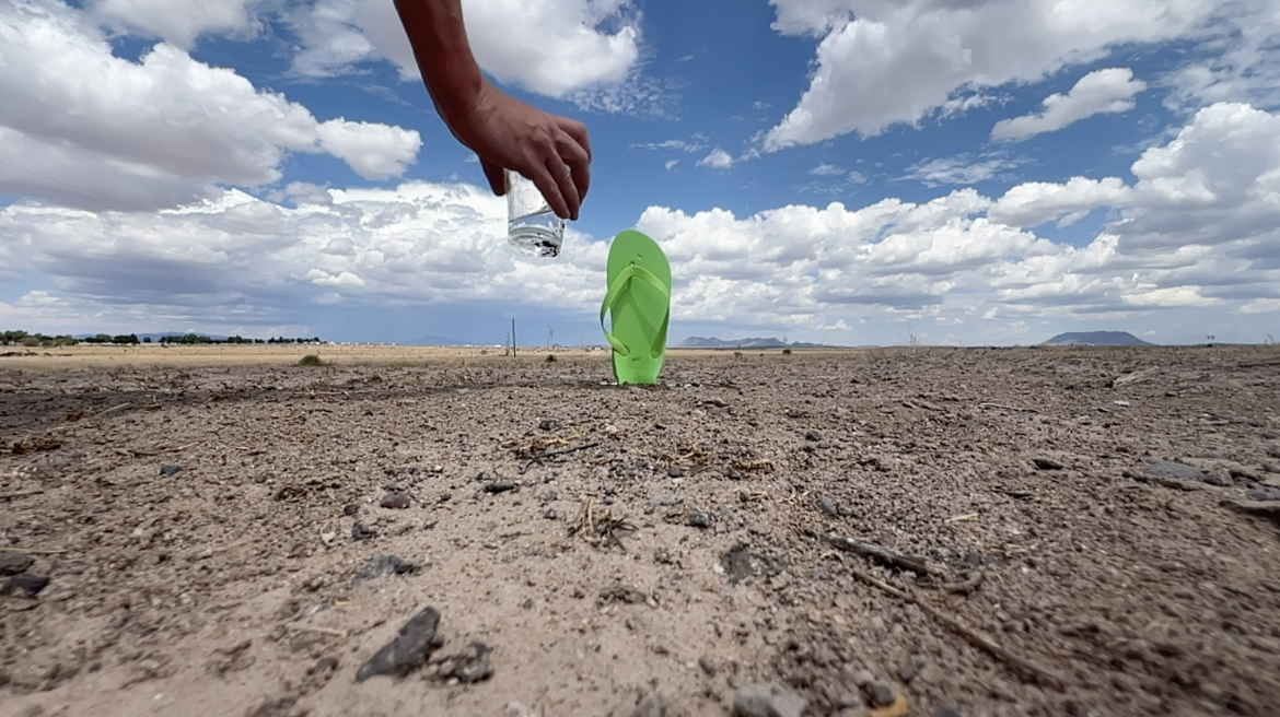 Donner un verre d’eau au désert chaque jour, 2024. Copyright Honoré D’O