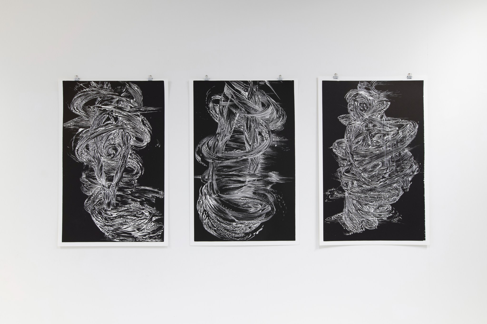 Conf&eacute;rence par Christophe Veys: les forces du noir et blanc