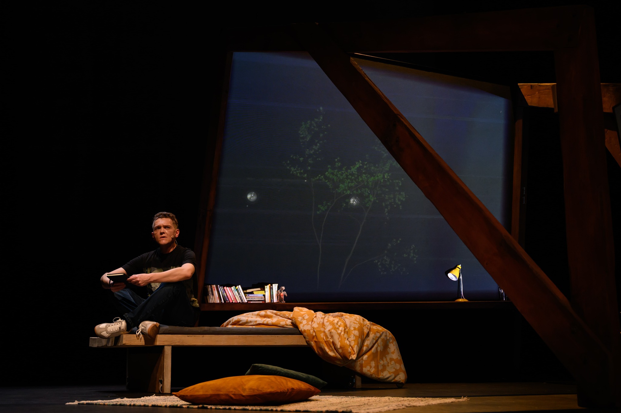 LES DRAGONS ~ de J&eacute;r&ocirc;me Colin