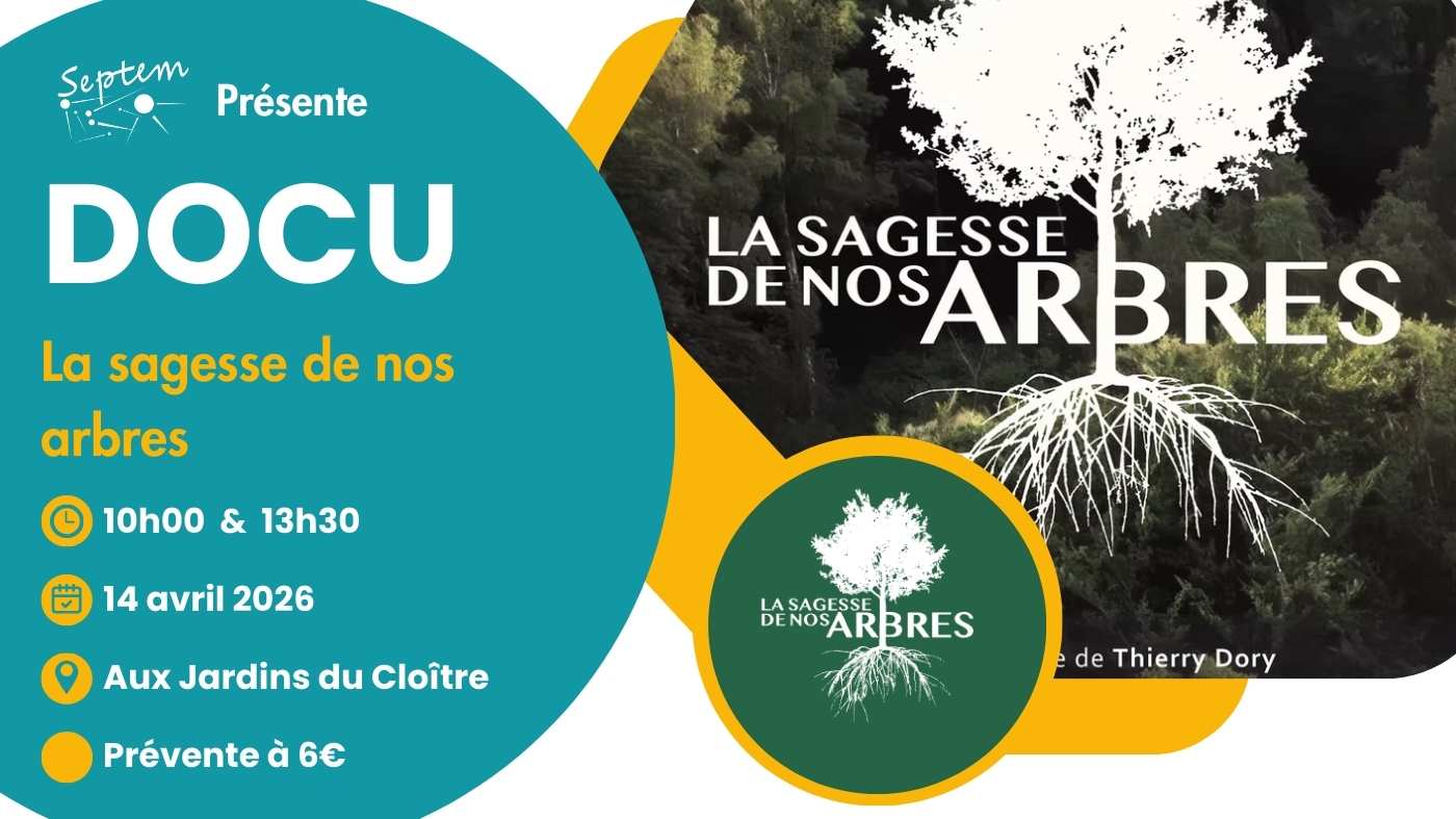 Documentaire : "La Sagesse de Nos Arbres" de Thierry Dory