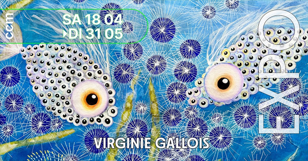 Banner Virginie Gallois