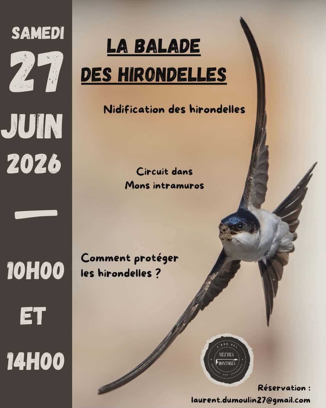 hirondelles
