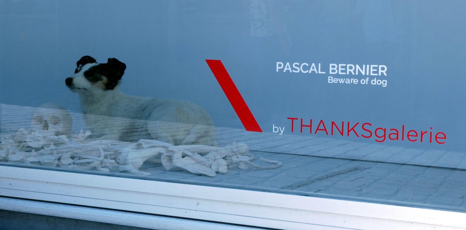 Pascal Bernier