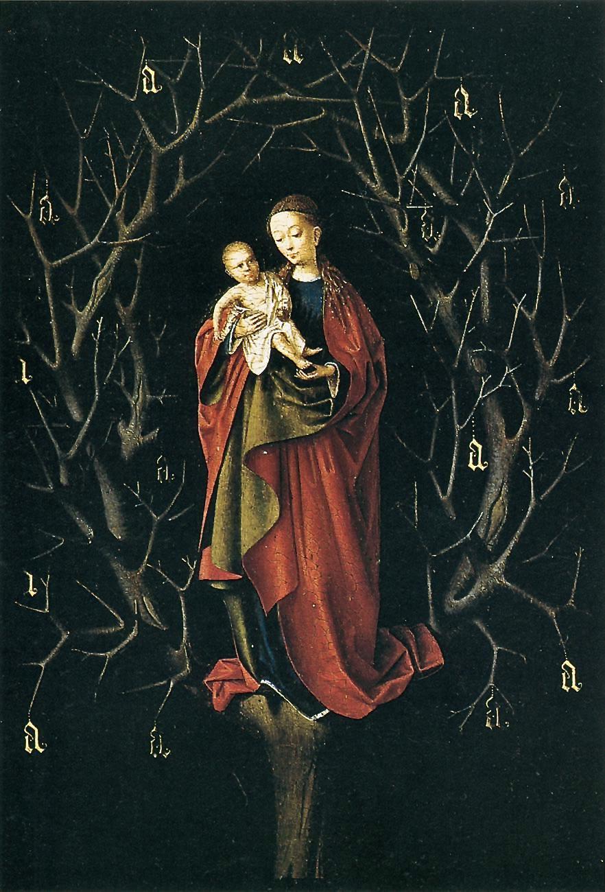 zaz petrus christus