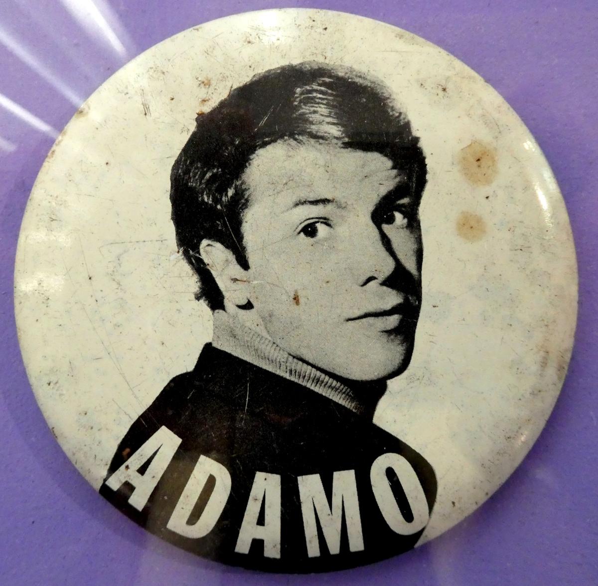 adamo c