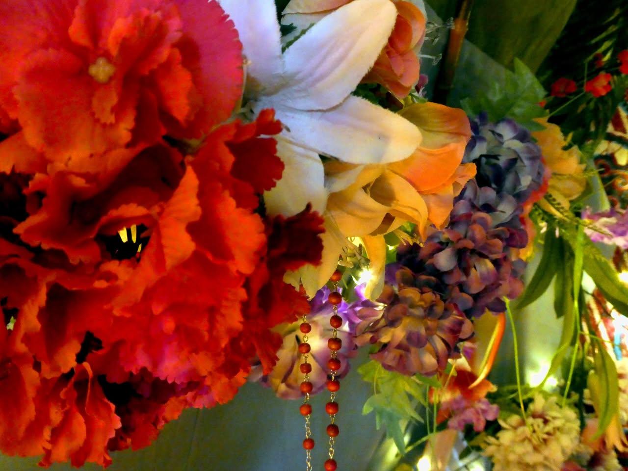 Photo par Daniel Godart 