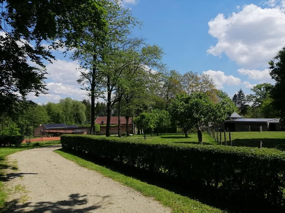 th&eacute;&acirc;tre au vert