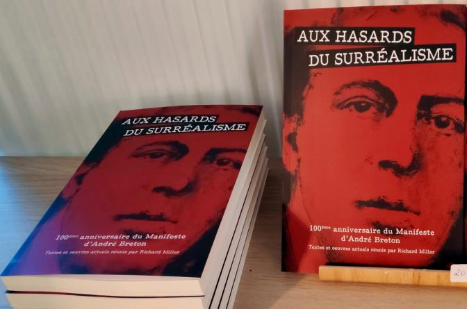 sur.livre