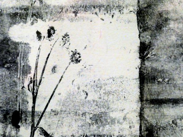 herb 03