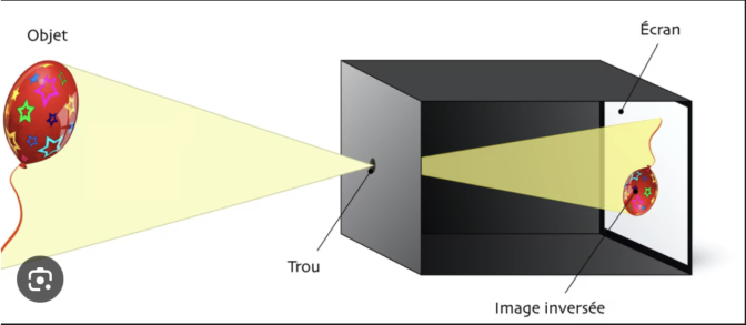 st&eacute;nop&eacute;