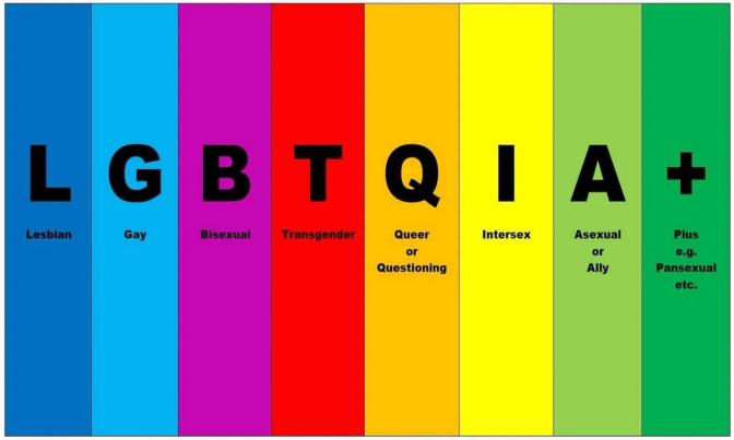 LGBTQIA+