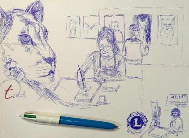 lionnes dessin sab