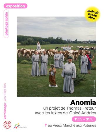 anomia tournai