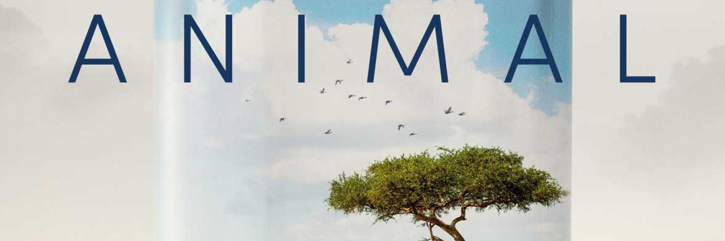 Affiche ANIMAL