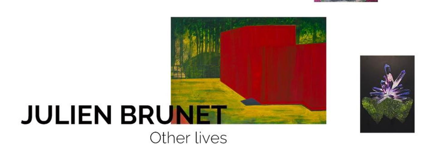 Vernissage OTHER LIVES Julien Brunet
