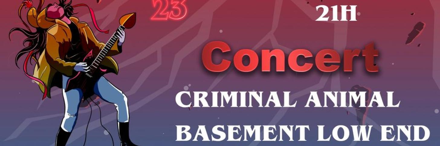 Concerts @ La Lorgnette Criminal Animal - Basement Low End