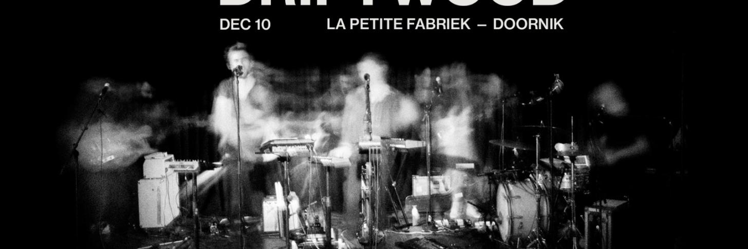 Driftwood (feat. Patricia Vanneste, ex-Balthazar)