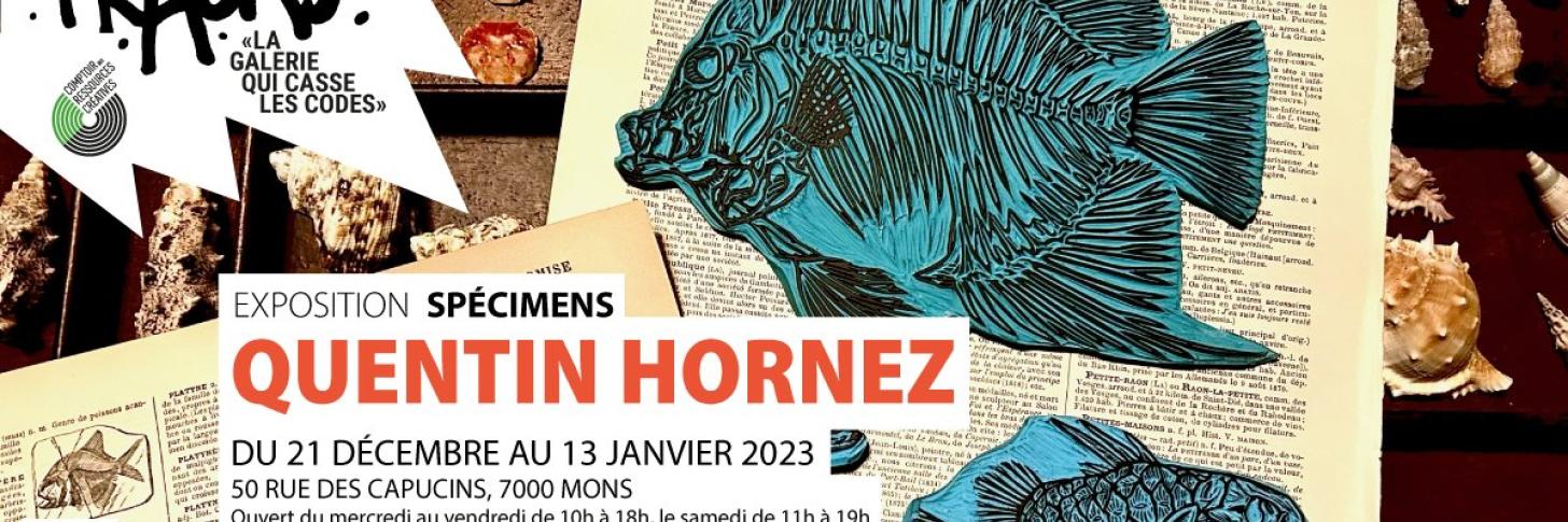 FRACAS - Quentin Hornez // Vernissage de l'exposition "Spécimens"