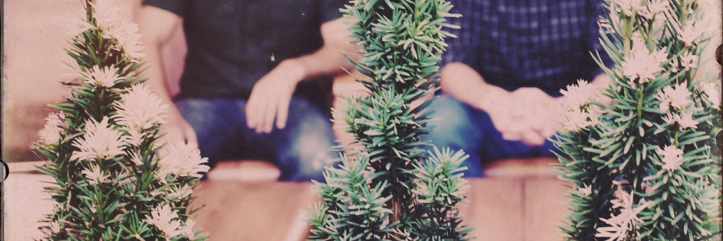 YASS (DE) + CESAR PALACE (DE)