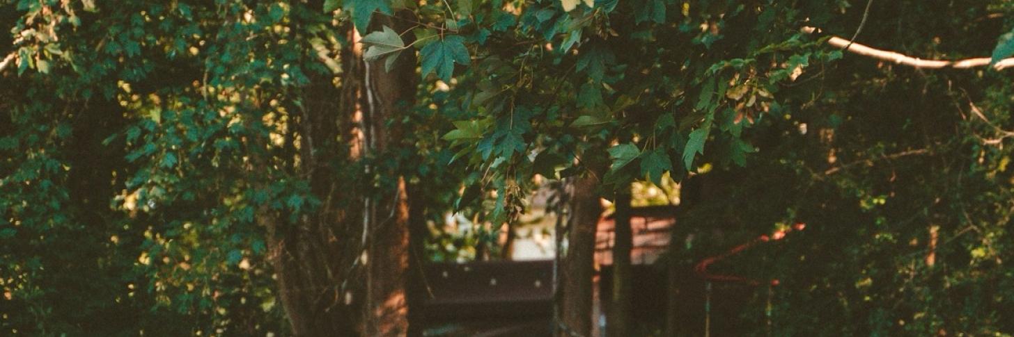 Afterwork d'&eacute;t&eacute;