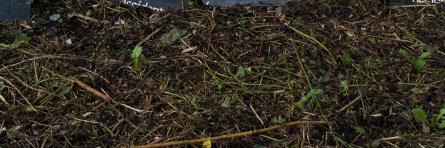 Restitution#8: "Rencontre à Frameries" (Béatrice Didier & Luis Alvarez)