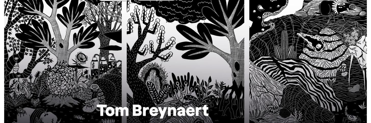 tom breynaert