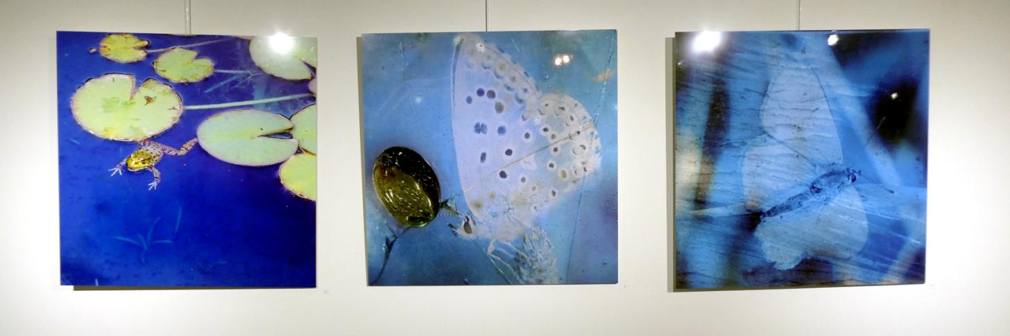 expoavrilbannière