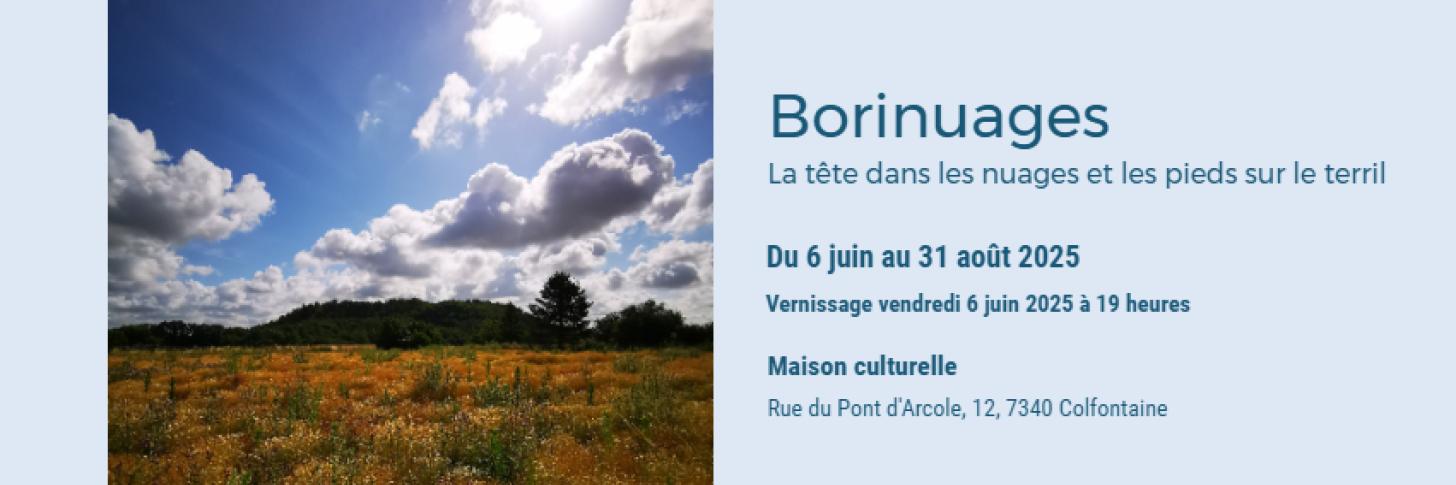 Borinuages-bannière