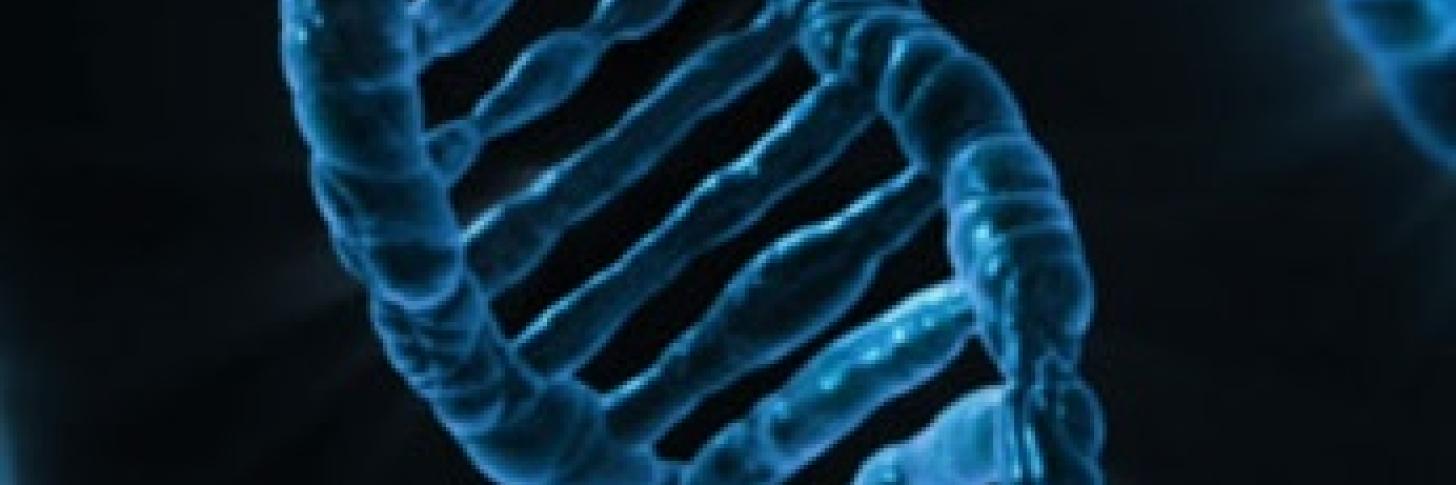 L’ADN forensique au-delà des apparences