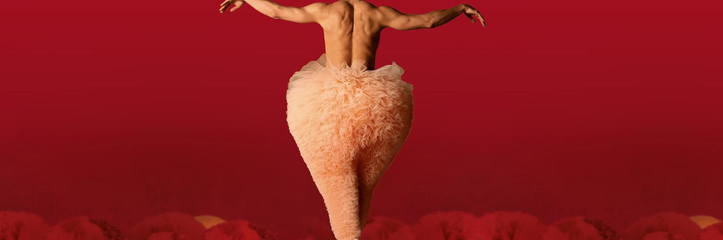 Tutu · Chicos Mambo