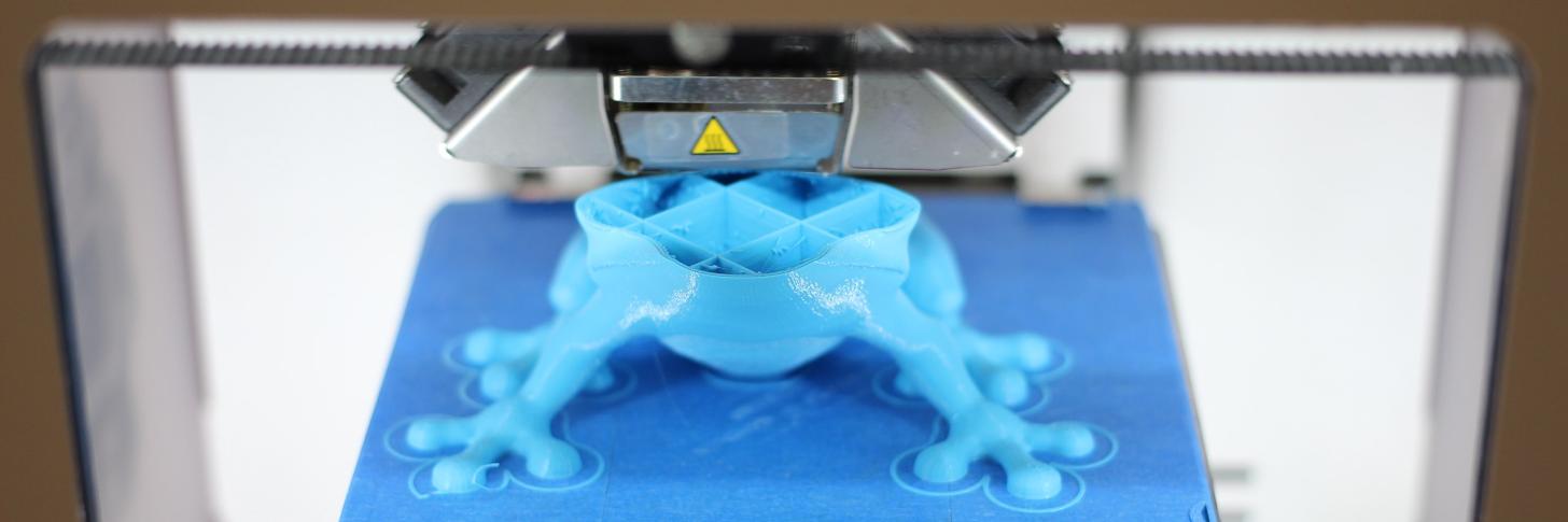 frog 2
