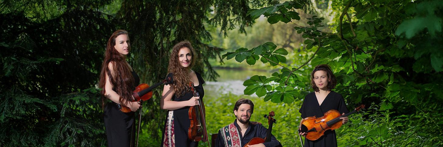 Dvorak, Dabic, Origins à Mars Mons