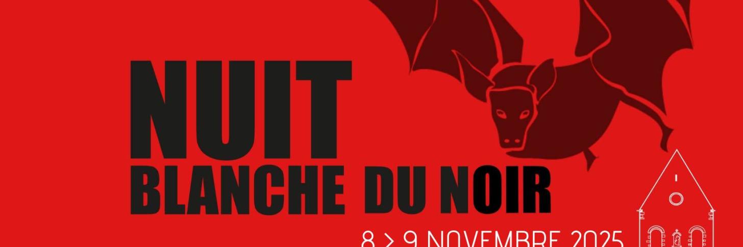 Affiche : Festival Nuit blanche du Noir 2025