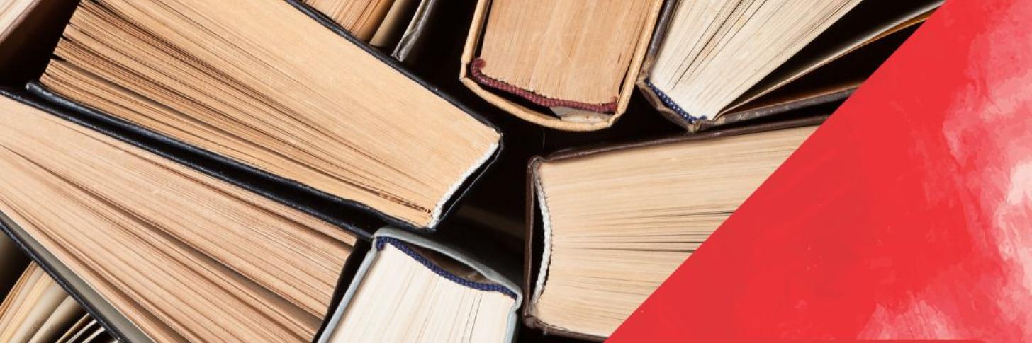 L’arpentage du livre « Résister » de Salomé Saqué