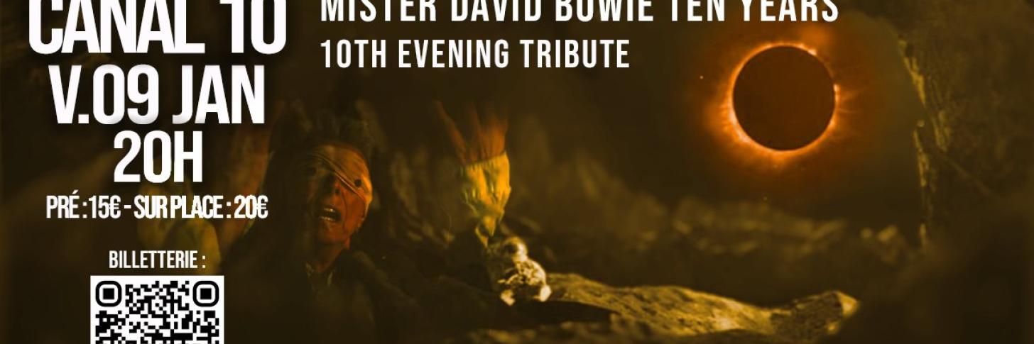 The Diamond Dogs tribute David Bowie