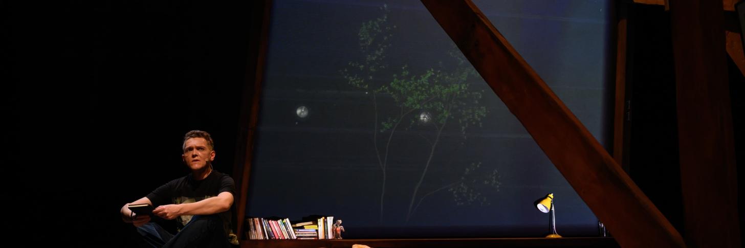 LES DRAGONS ~ de Jérôme Colin