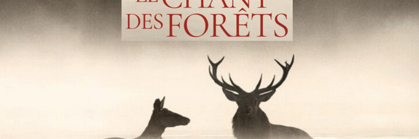 "LE CHANT DES FOR&Ecirc;TS" de Vincent Munier