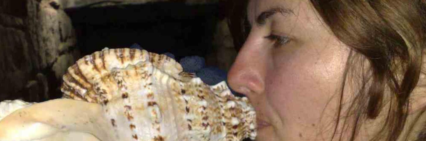 MASTERCLASS&sup2; / Cobi van Tonder