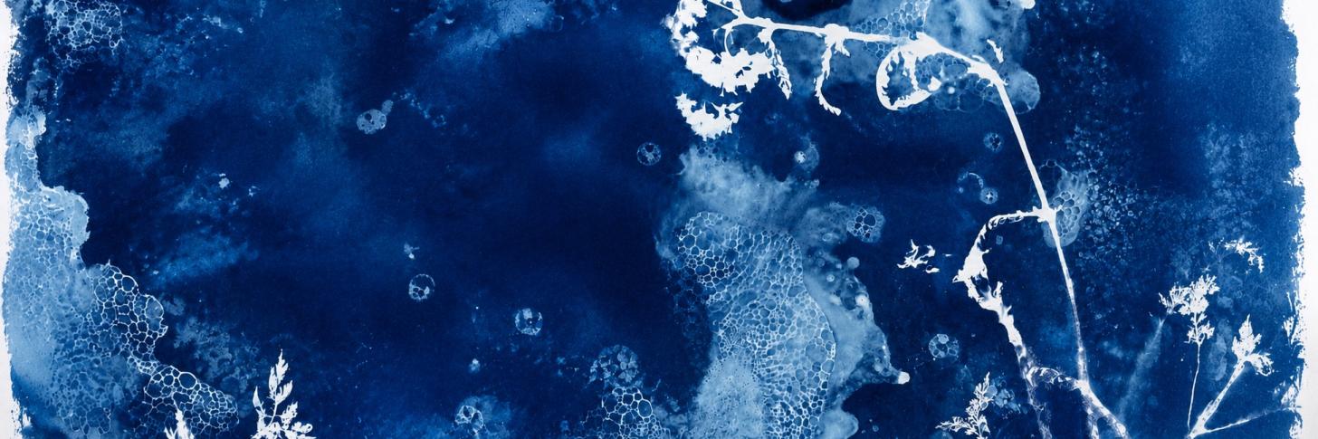 Rencontre avec l&rsquo;artiste autour de l&rsquo;expo &laquo; Blue & Flowers &raquo;