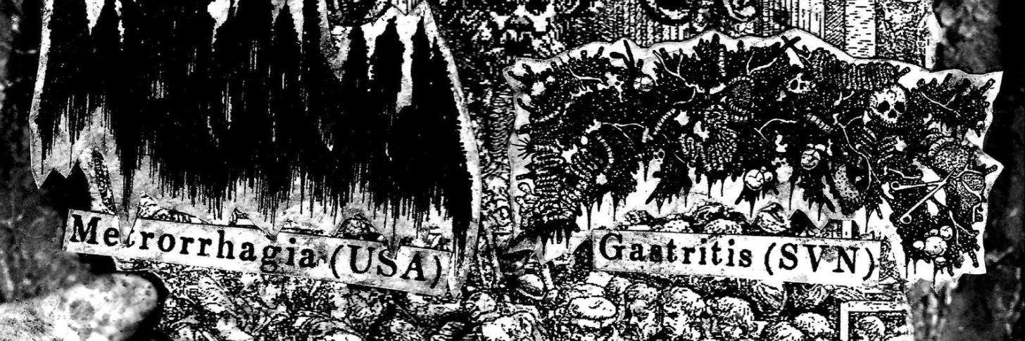 Metrorrhagia / Gastritis / Sarcophagia / Forced Entry / Violent Encounter / Prurit - Goregrind