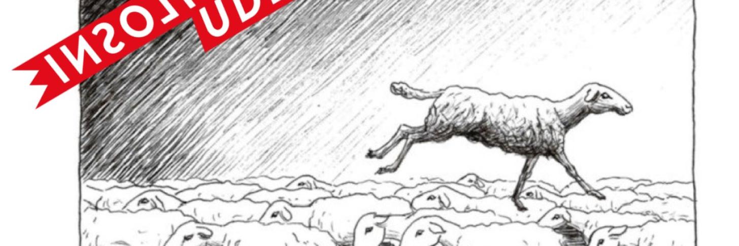 INSOLITUDES | Contes sur le tapis (Gratuit)