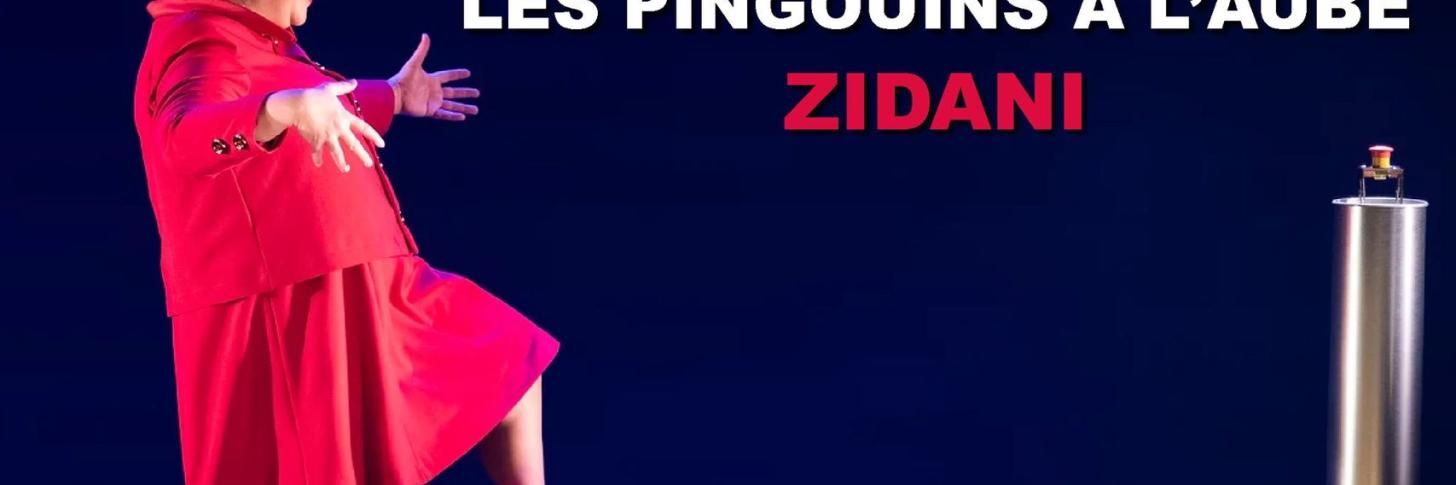 Zidani : Les pingouins à l'aube