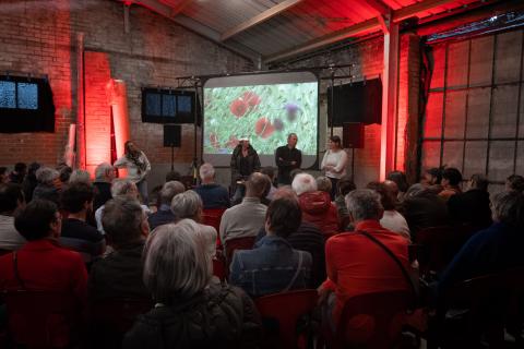 Le chemin des coquelicots - Ciné à la ferme