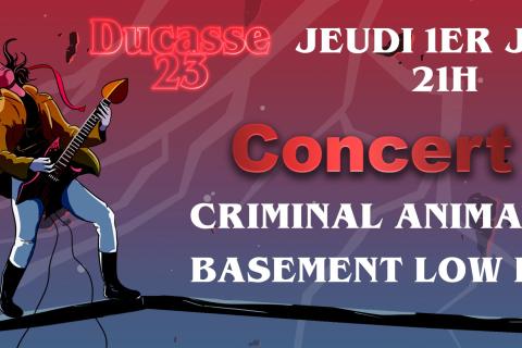 Concerts @ La Lorgnette Criminal Animal - Basement Low End